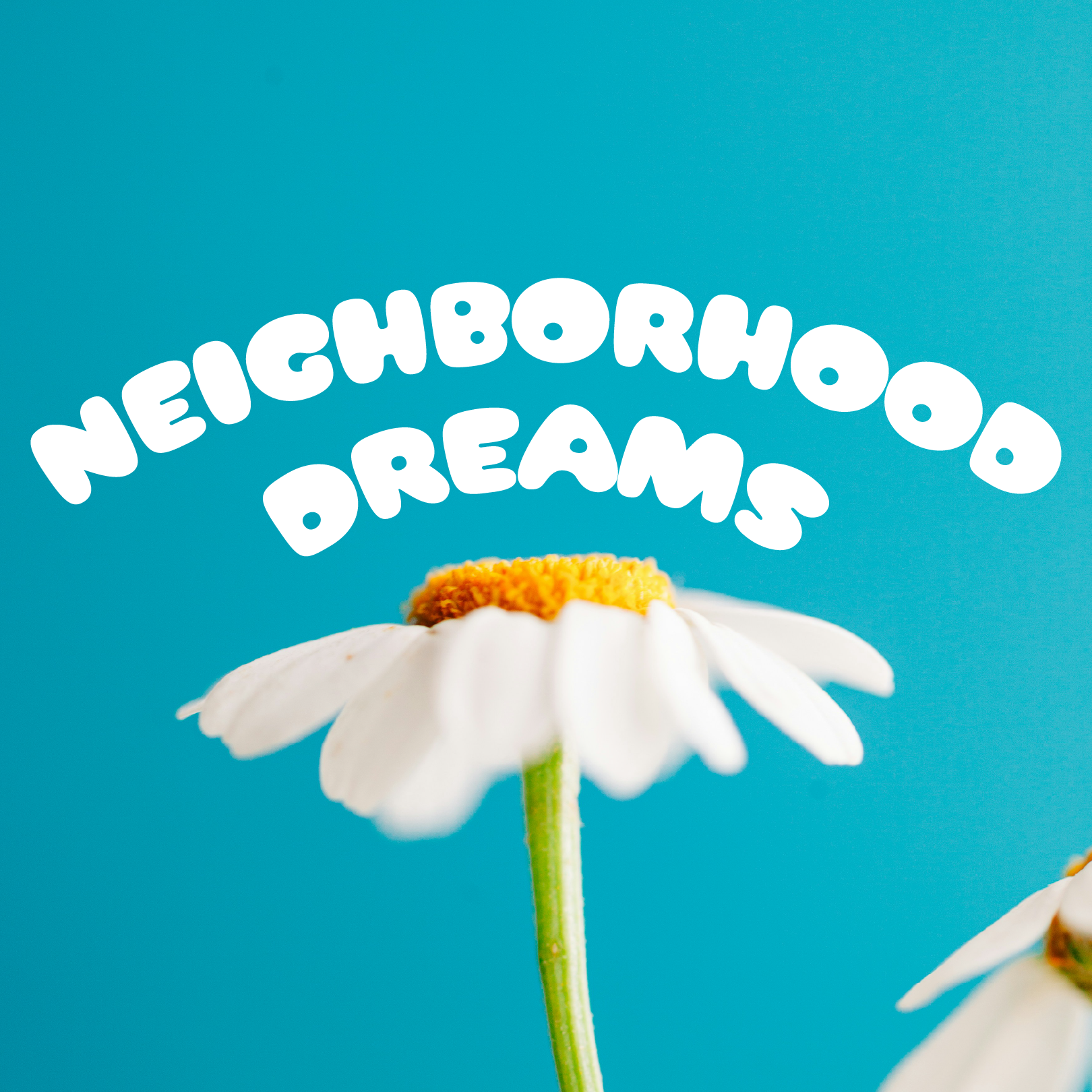 NC2-Neighborhood Dreams-Event